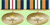 Miembro Medalla de Plata
